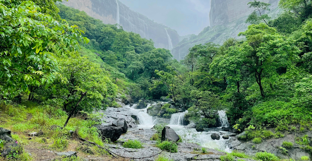 Trek to Tamhini Ghat by Naveen Kumar Dusi on Unsplash