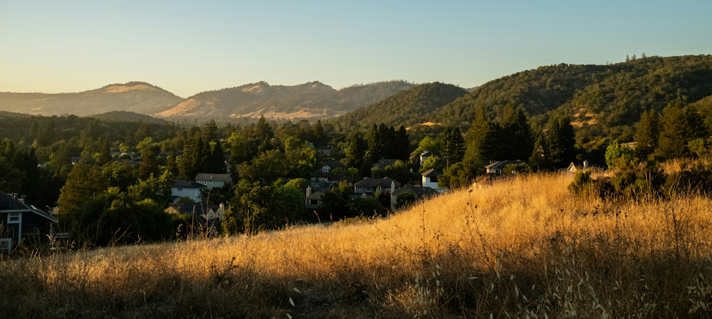 Houses in Wooded Area in Santa Rosa by Megan O'Hanlon on Unsplash