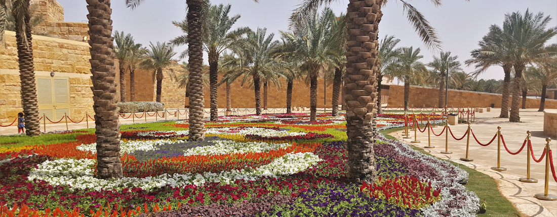 Garden with colourful flowers in sunny Saudi Arabia